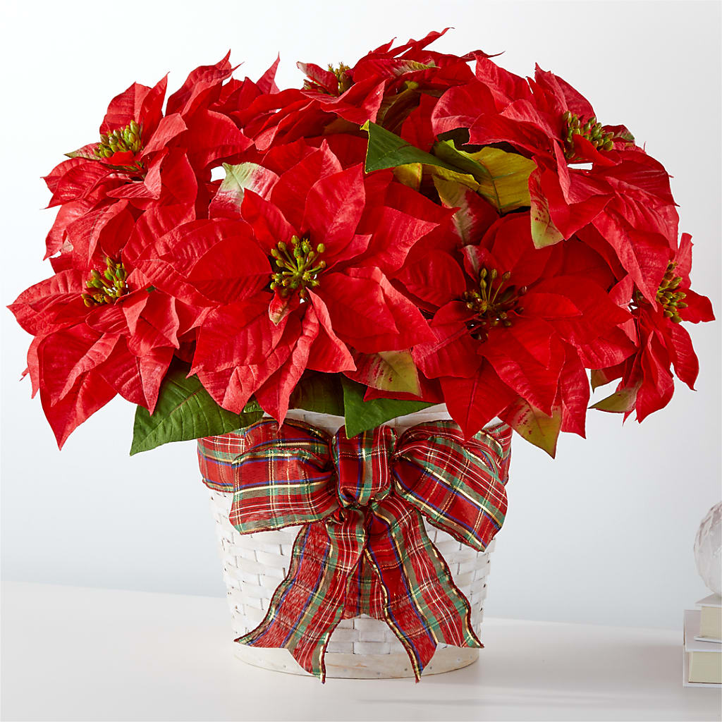 Happiest Holidays Poinsettia – Ridge Florist Inc, Sebring FL