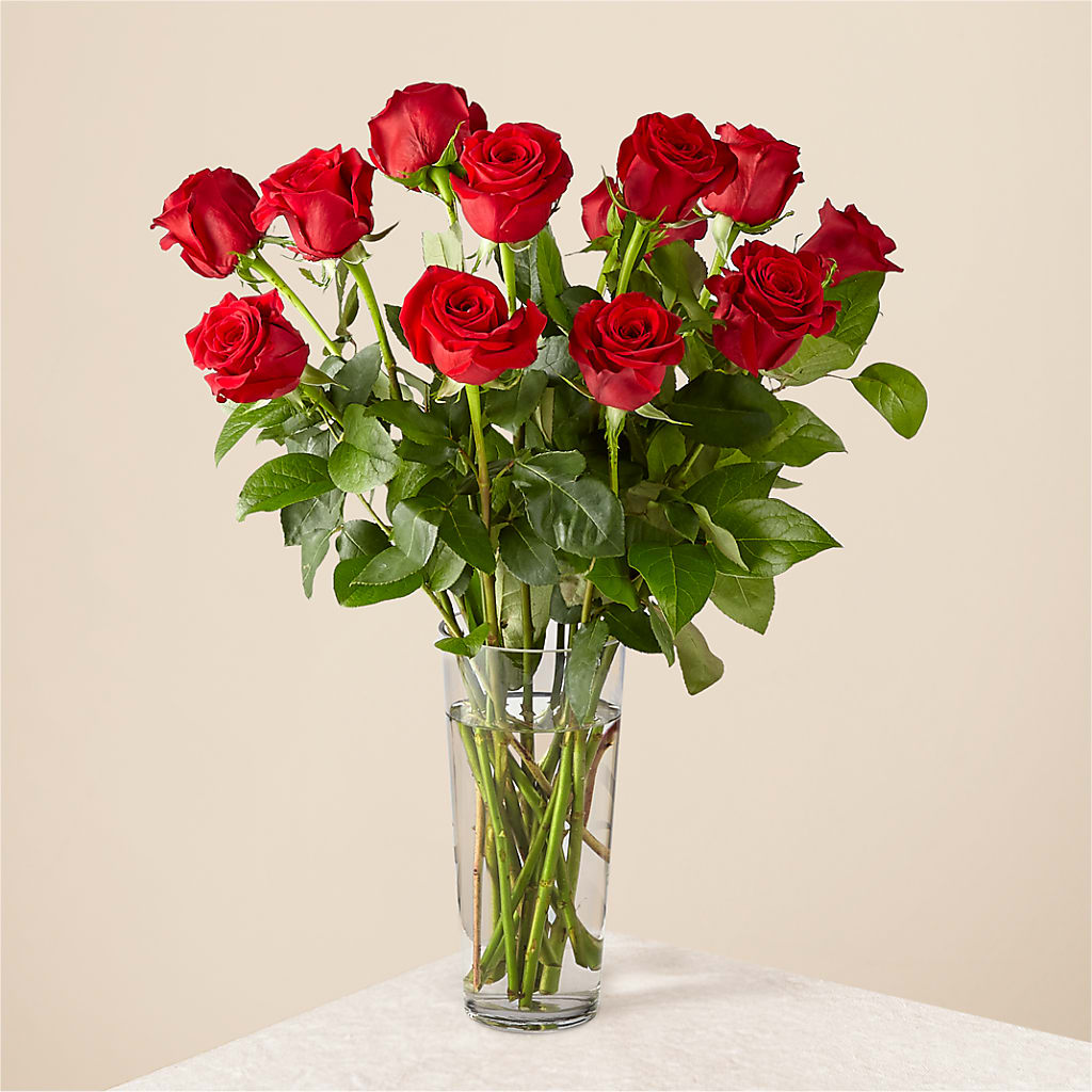 Long Stem Red Rose Bouquet – Ridge Florist Inc, Sebring FL