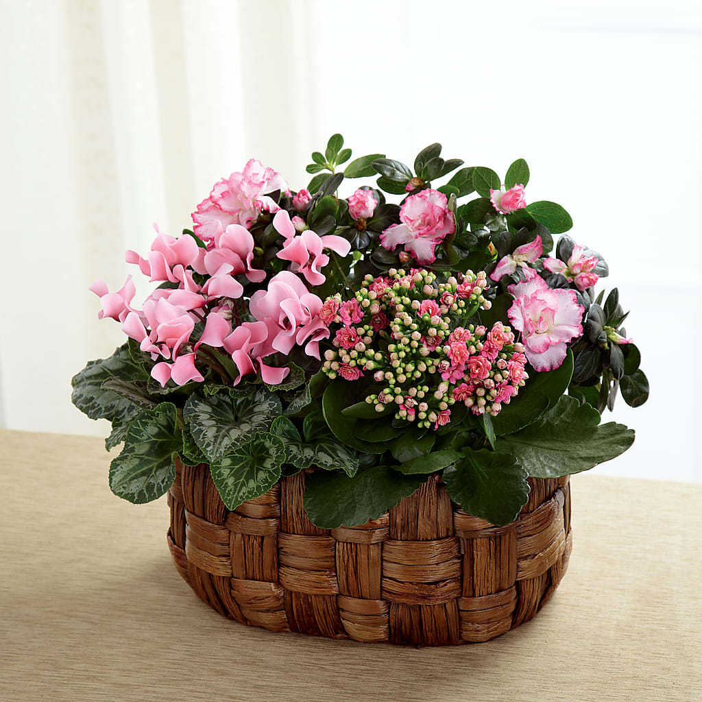 Pink Assortment – Ridge Florist Inc, Sebring FL