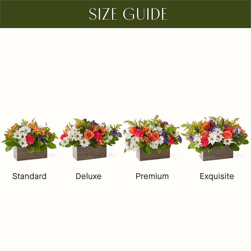 Oopsie Daisy Box Bouquet – Ridge Florist Inc, Sebring FL