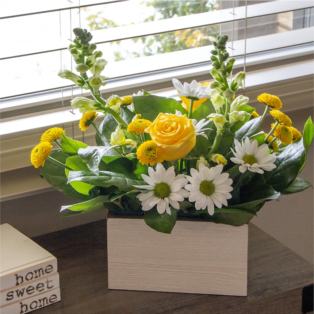 Sun Salutation Box Bouquet – Ridge Florist Inc, Sebring FL