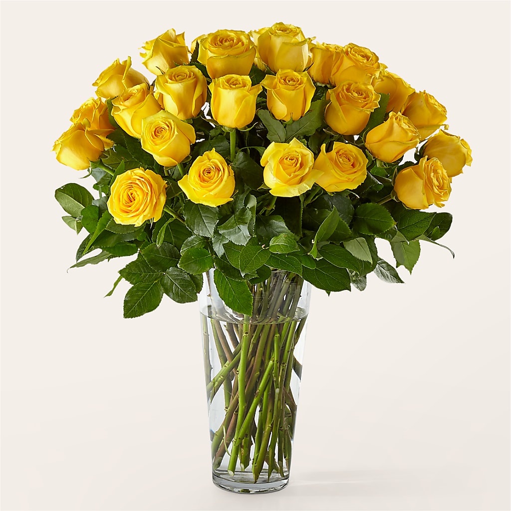 Long Stem Yellow Rose Bouquet – Ridge Florist Inc, Sebring FL