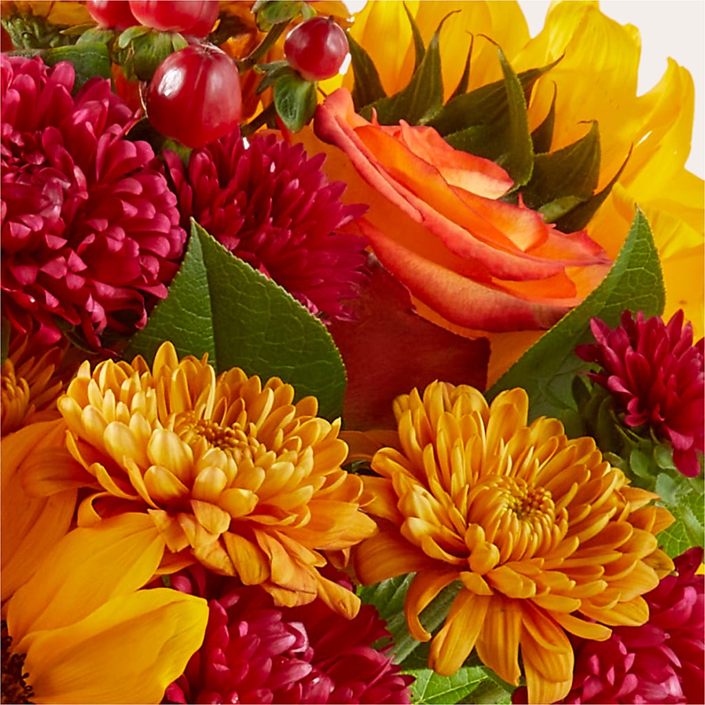 Sweater Season - A Florist Original – Ridge Florist Inc, Sebring FL