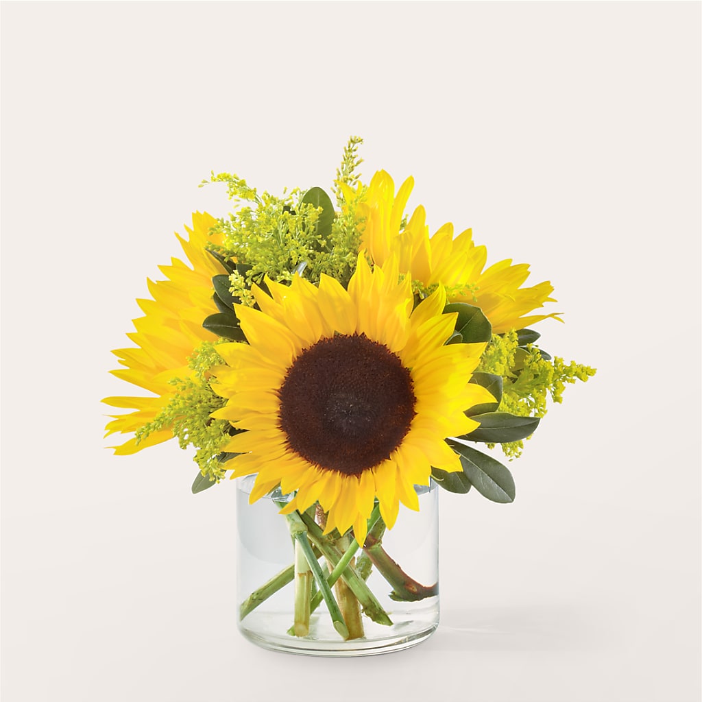 Beaming Sunflower Bouquet – Ridge Florist Inc, Sebring FL