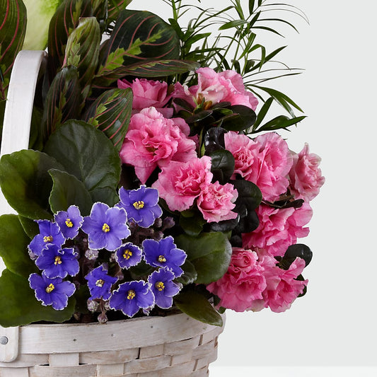 Peaceful Garden Planter – Ridge Florist Inc, Sebring FL