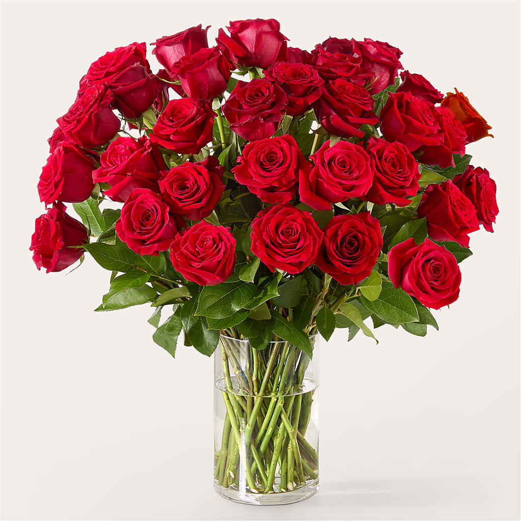The One Red Rose Bouquet – Ridge Florist Inc, Sebring FL