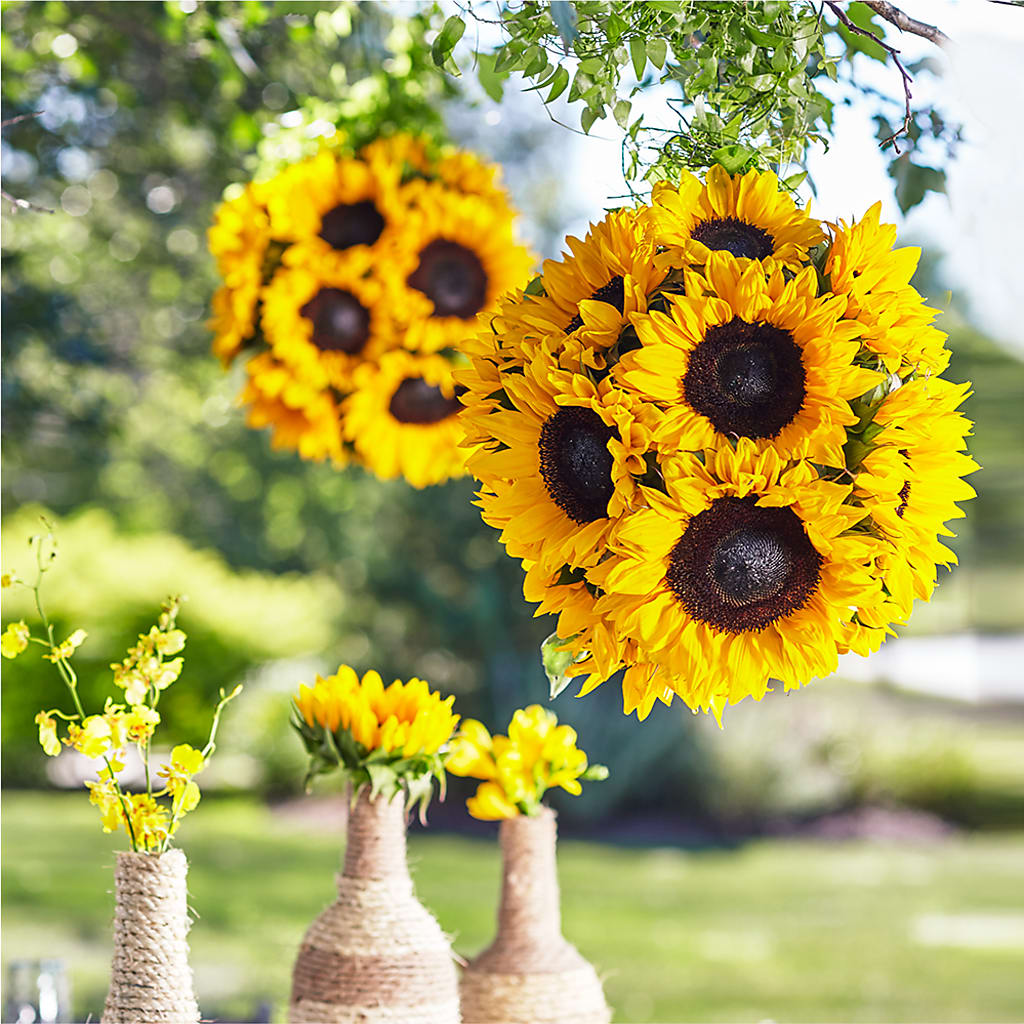 Sublime Garden Hanging Arrangement – Ridge Florist Inc, Sebring FL
