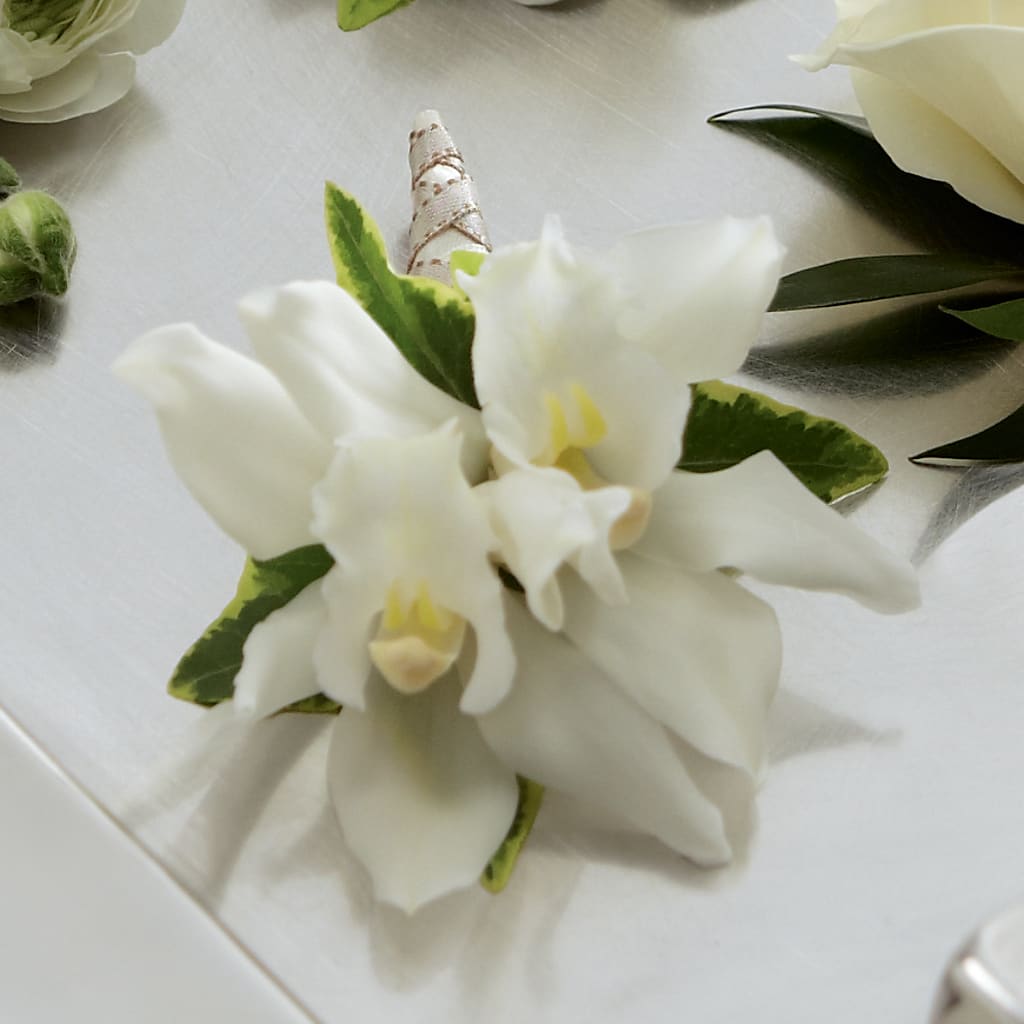 White Mini Cymbidium Boutonniere – Ridge Florist Inc, Sebring FL