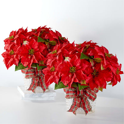 Happiest Holidays Poinsettia Bundle –  Ridge Florist Inc, Sebring FL