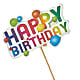 Happy Birthday Pick –  Ridge Florist Inc, Sebring FL
