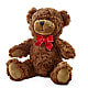 Adorable Plush Bear –  Ridge Florist Inc, Sebring FL