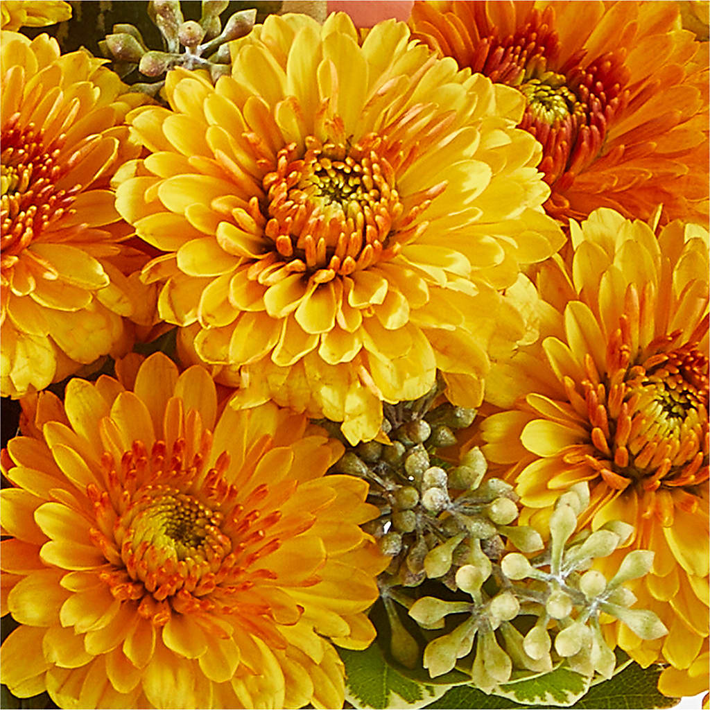 Peachy Pumpkin –  Ridge Florist Inc, Sebring FL