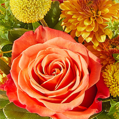 Gourdgeous Pumpkin –  Ridge Florist Inc, Sebring FL