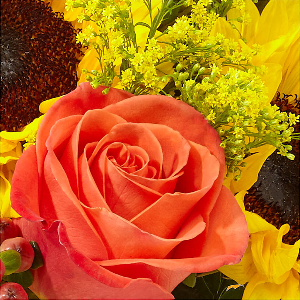 Pick of the Patch Pumpkin Bouquet –  Ridge Florist Inc, Sebring FL