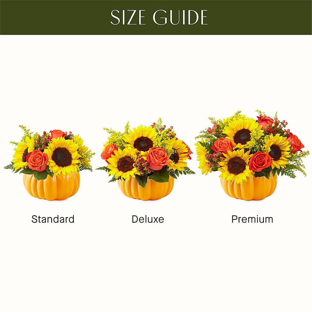 Pick of the Patch Pumpkin Bouquet –  Ridge Florist Inc, Sebring FL