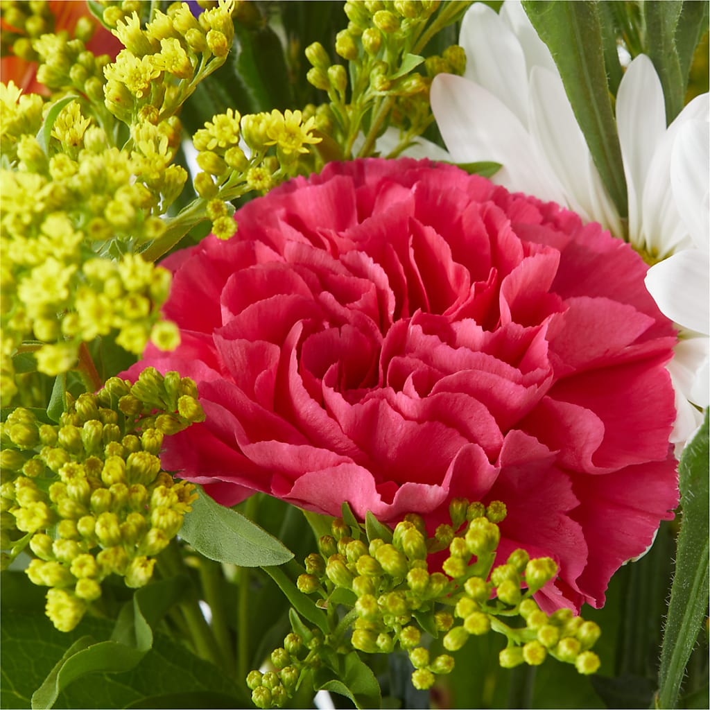 Oopsie Daisy Bouquet –  Ridge Florist Inc, Sebring FL