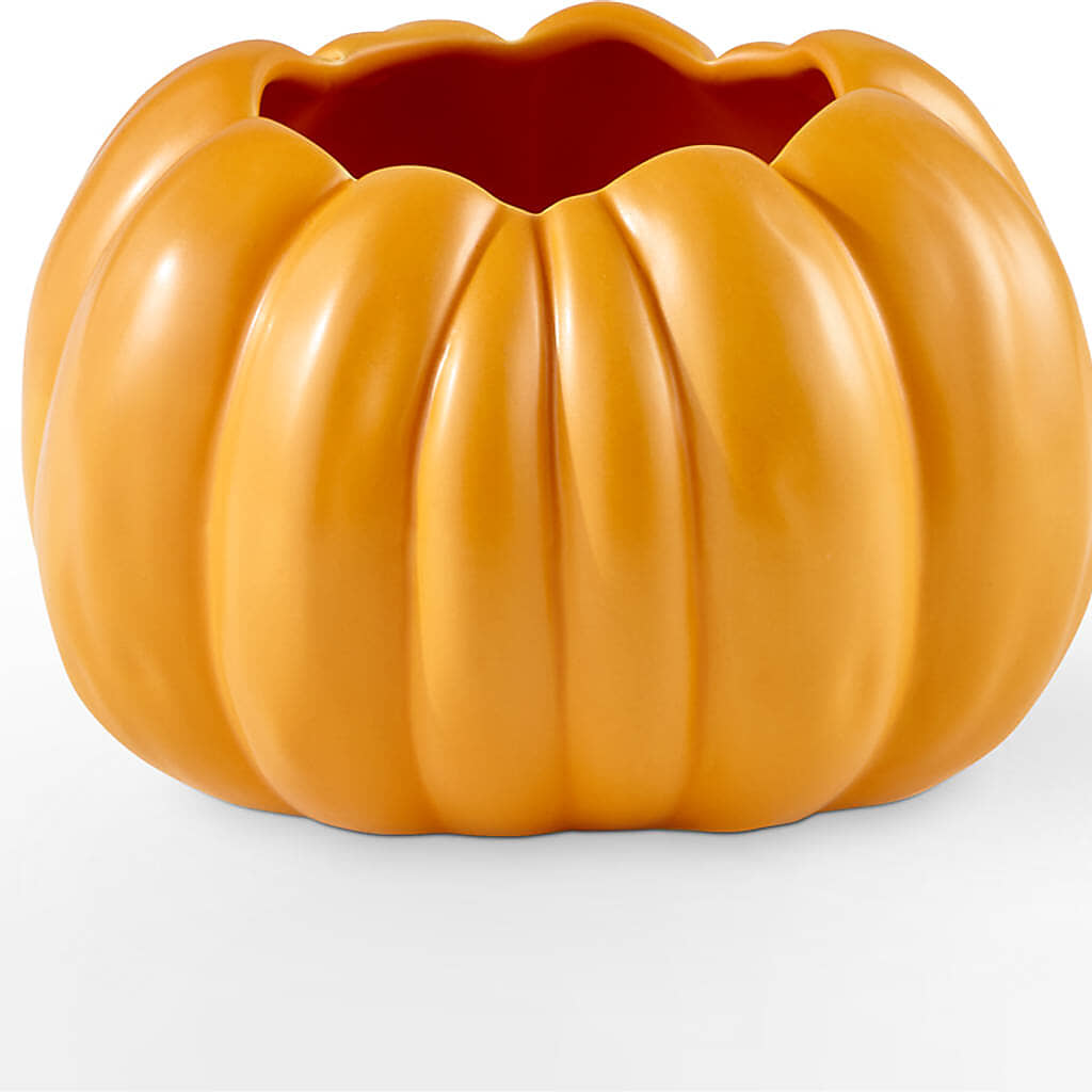 Golden Gourd Pumpkin Bouquet –  Ridge Florist Inc, Sebring FL