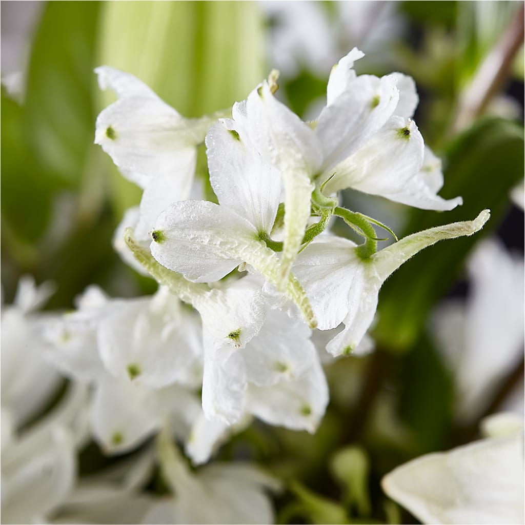 Classic Ivory – A Florist Original –  Ridge Florist Inc, Sebring FL
