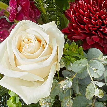 Cranberry Fizz Bouquet –  Ridge Florist Inc, Sebring FL