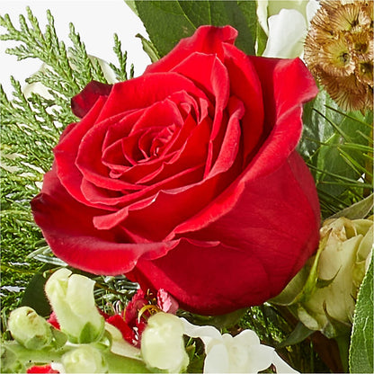 Deck the Halls Bouquet –  Ridge Florist Inc, Sebring FL