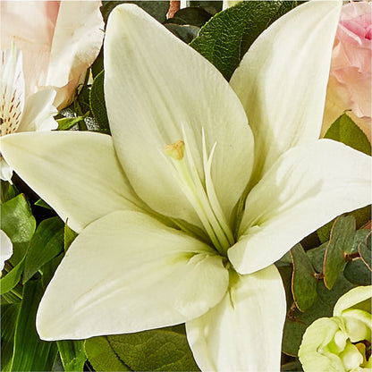 Ballet Slippers Bouquet –  Ridge Florist Inc, Sebring FL