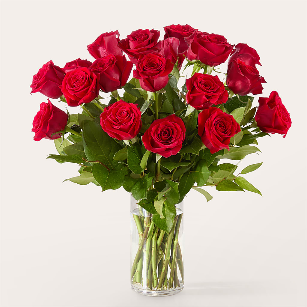 The One Red Rose Bouquet –  Ridge Florist Inc, Sebring FL
