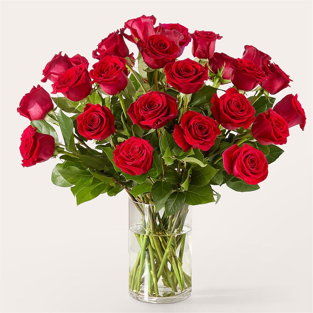 The One Red Rose Bouquet –  Ridge Florist Inc, Sebring FL