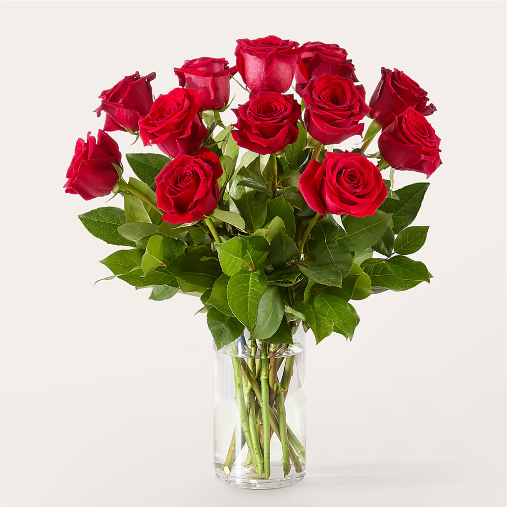 The One Red Rose Bouquet –  Ridge Florist Inc, Sebring FL